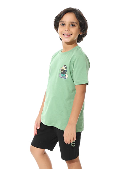 Boys Printed Colorful Summer & Pajama Shorts Set - Green - Image 3