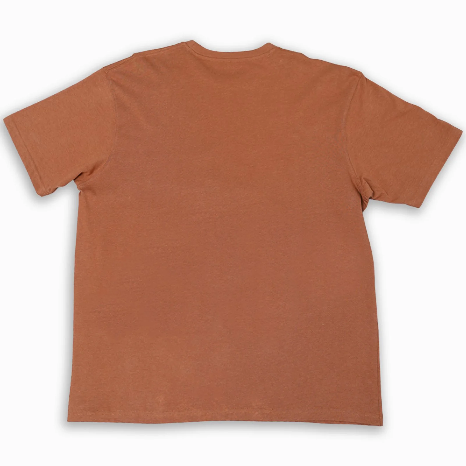 Live in the Sunshine Graphic T-Shirt - Image 3
